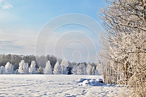 Hoarfrost view