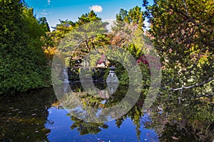 Hobart, botanical gardens