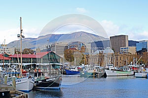 Hobart City View