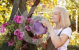 Hobbies at retirement. Happy senior woman watering petunia flowers in pots, gardening in her own garden and smiling