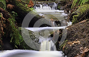 Hobbs Creek at Mystic Vale