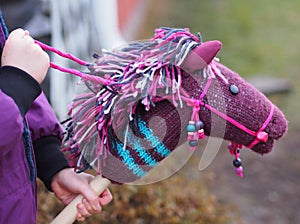 Hobby Horse