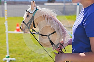 Hobby horsing competition on a green grass, hobby horse riders jumping, equestrian sport training with stick toy horses in a