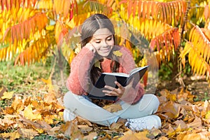 Hobby and interests. Child enjoy reading. Schoolgirl study. Study every day. Girl read book autumn day. Little child photo