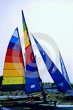 Hobie Cat Sails