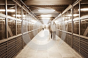 Hoboken tunnel