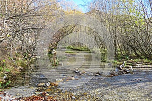 Hochblaser - Crystal clear river Seeaubach flowing into Leopoldsteiner lake in in Eisenerz, Ennstal Alps, Styria, Austria