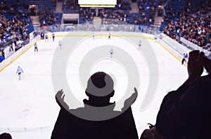 Hockey fan standing and applause on the stadium in after goal - sport, wallpaper