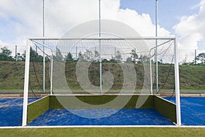 Hockey Field Goals Astro photo