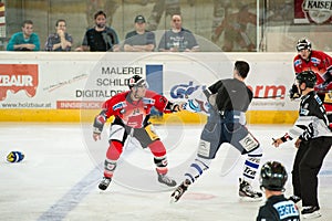 Hockey fight