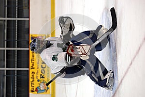 Hockey goalie