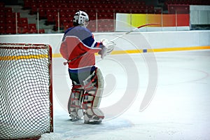 Hockey goalie