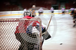 Hockey goalie