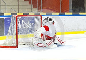 Hockey Goalie