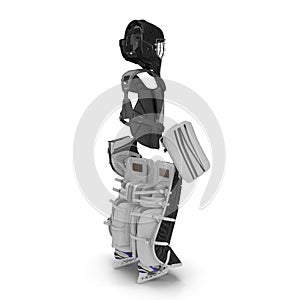 Hockey Goalie Protection Kit on white. 3D illustration