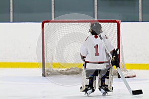 Hockey goalie skating the net