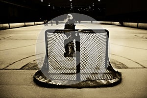 Hockey net and goalie