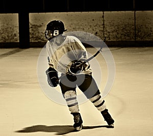 Hockey Player