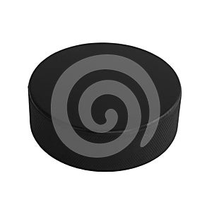 Hockey Puck