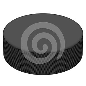 Hockey Puck