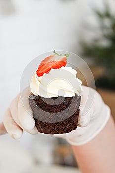 ÃÂ¡hocolate cupcake