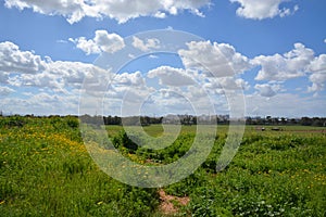 Hod Hasharon Park