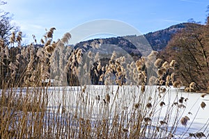 Hoeglwoerth Lake near Anger, Rupertiwinkel, Upper Bavaria