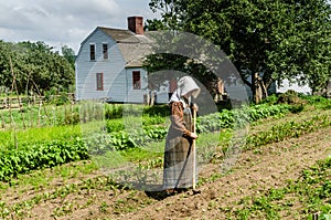 Hoeing - Old Sturbridge Village - Sturbridge, MA