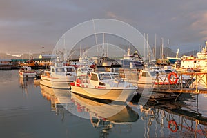 Hofn harbor, Iceland photo