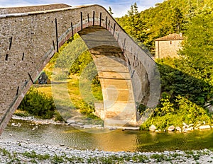 Hog-backed single-span bridge