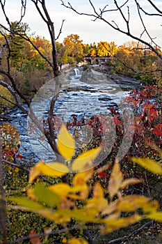 The Hog\'s Back Falls in Ottawa, Canada. Autumn season in park with waterfalls and river