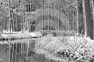 Waterranden met bomen in park Puyenbroeck tijdens winter photo