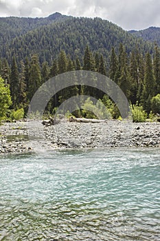Hoh River and Rainforest