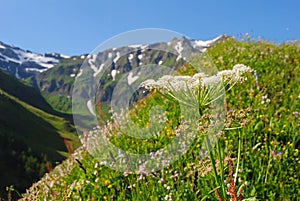 Hohe Tauern national park in Austria.