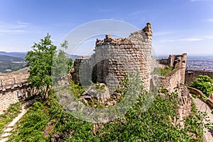 Hohlandsbourg, castle, Wintzenheim, Medieval, Fortified castle, 1279, Fortress, France
