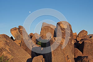 Hohokam petroglyphs of Saguaro National Park, Arizona.