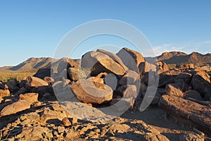 Hohokam petroglyphs of Saguaro National Park, Arizona.