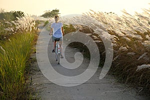 Hoi An / Vietnam, 12/11/2017: Tourist woman cycling through fields during sunset in in Hoi An, Vietnam photo