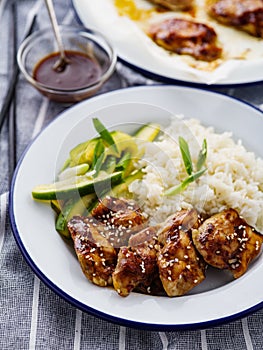 Hoisin Chicken. Traditional Asian cuisine. Chicken with sauce, r