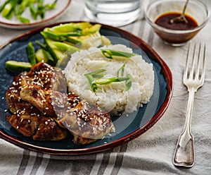 Hoisin Chicken. Traditional Asian cuisine. Chicken with sauce, r