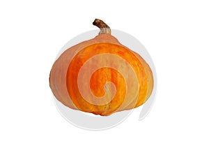 Hokaido pumpkin