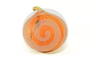 Hokaido pumpkin on white background photo