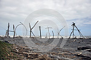 Hokitika driftwood