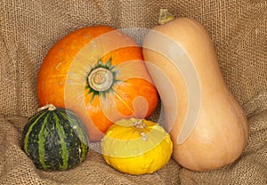 Hokkaido, butternut and warty pumpkins