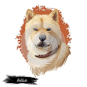 Hokkaido, Do-ken, Ainu-ken, Seta, Ainu dog, Hokkaido-Ken dog digital art illustration isolated on white background. Japan origin photo