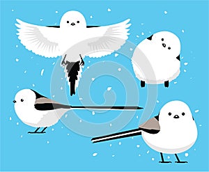 Hokkaido Long-Tailed Tit Shima Enaga Bird Cute Cartoon Poses Vector Illustration