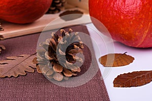 Hokkaido pumpkin on autumn background with cones and herbarium leaves