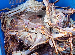 Hokkaido or taraba big crabs are available for sale at sea fishermen markets.