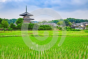 Hokkiji Temple, Nara, Japan