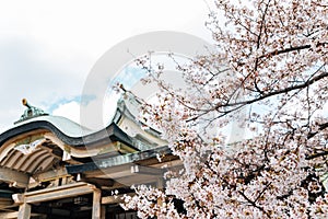 Hokoku Shrine at Osaka Castle Park in Japan